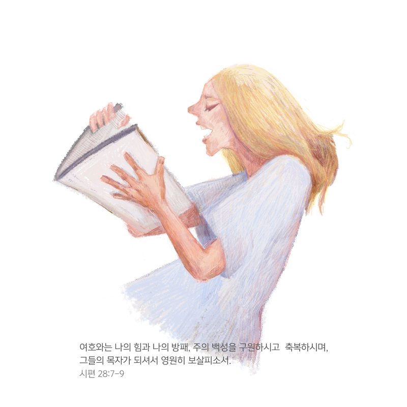 매일매일 시편 연작